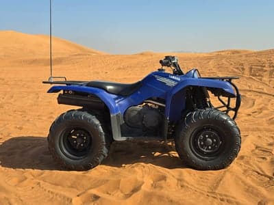 Yamaha Grizzly 350
